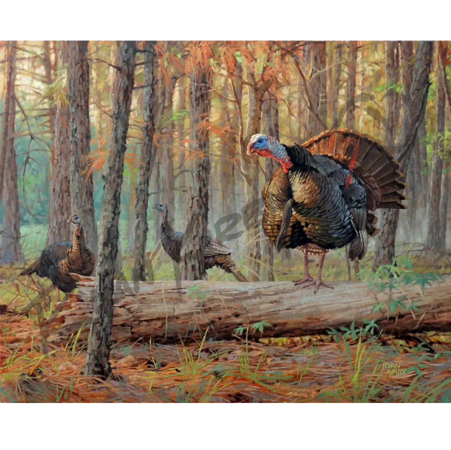 ’See And Be Seen’ Original Oil Painting