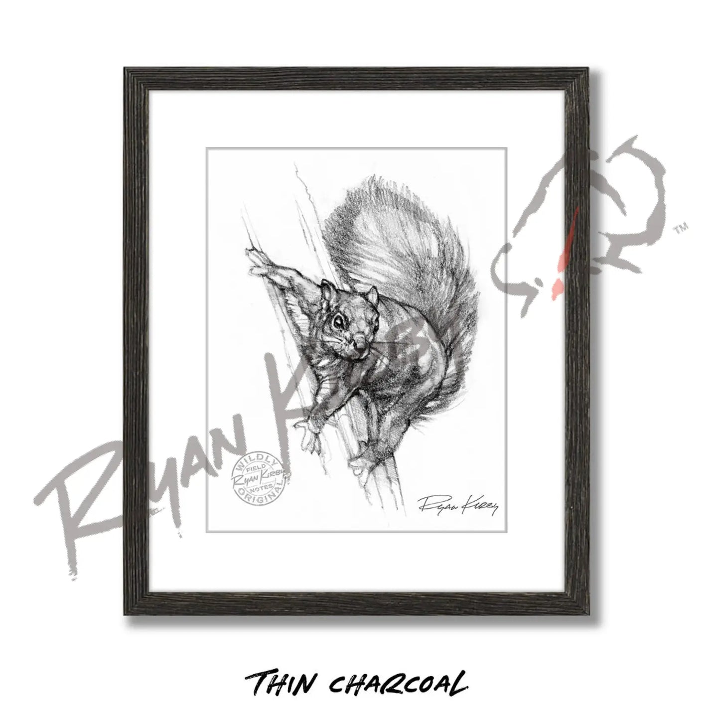 Squirrel Sketch Print Sketch Paper Print