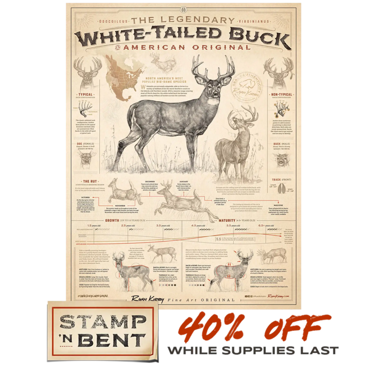 Stamp-N-Bent ’White-Tailed Buck: An American Original’ Poster