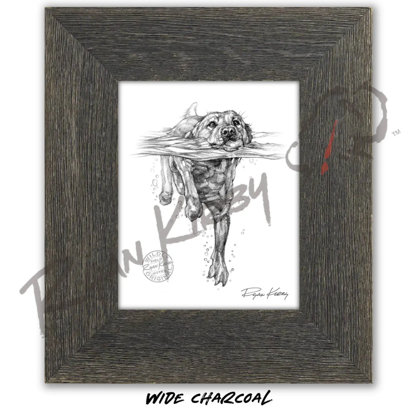 Swimming Labrador Retriever Sketch Print Sketch Paper Print