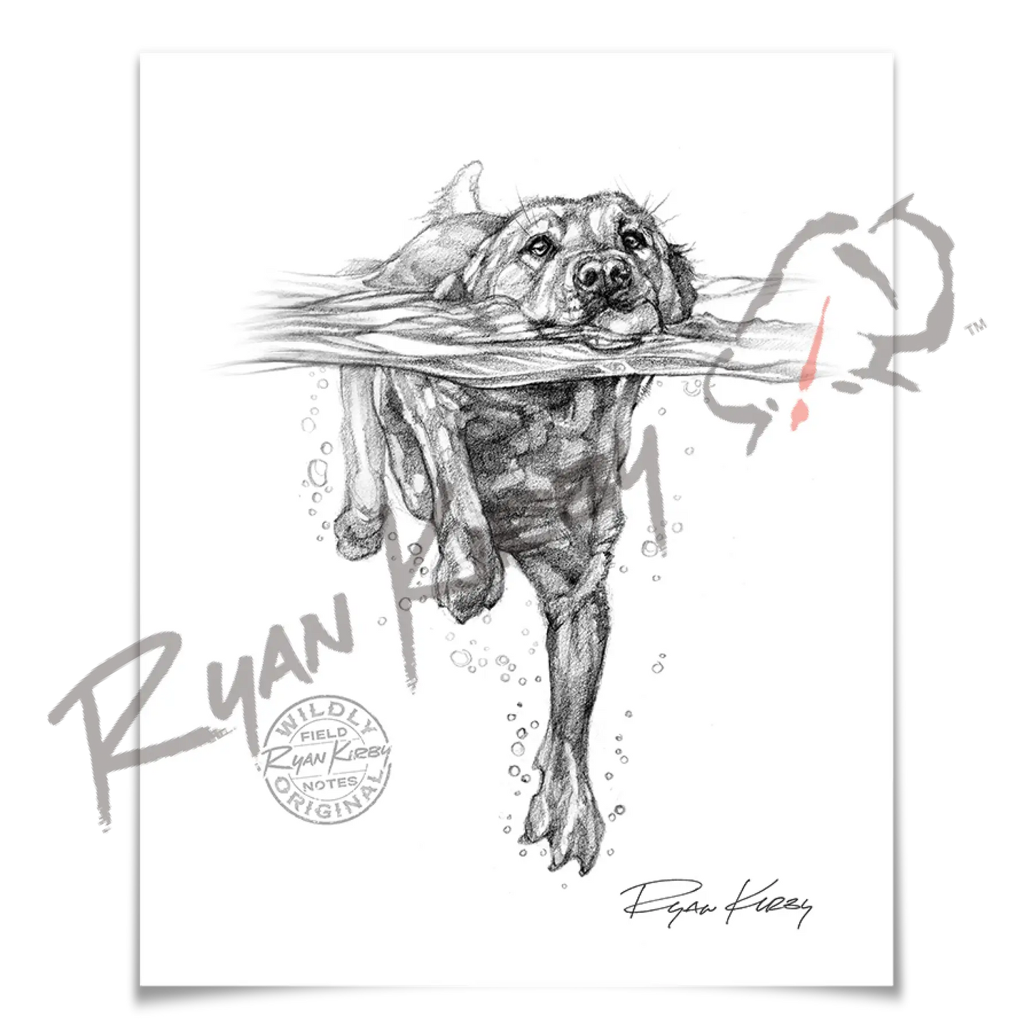 Sketch Drop 002: Lab Swimming