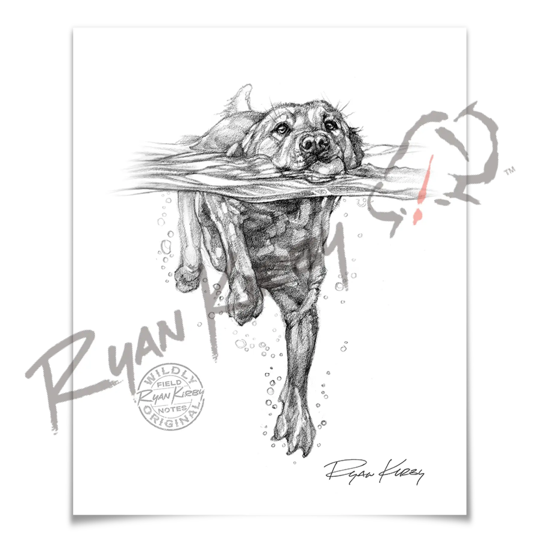 Sketch Drop 002: Lab Swimming