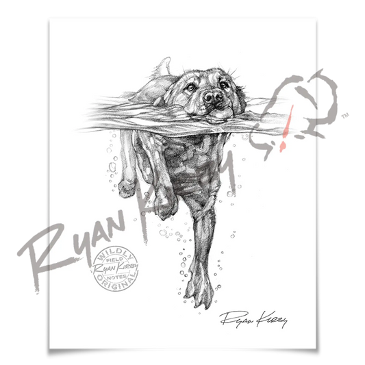 Sketch Drop 002: Lab Swimming