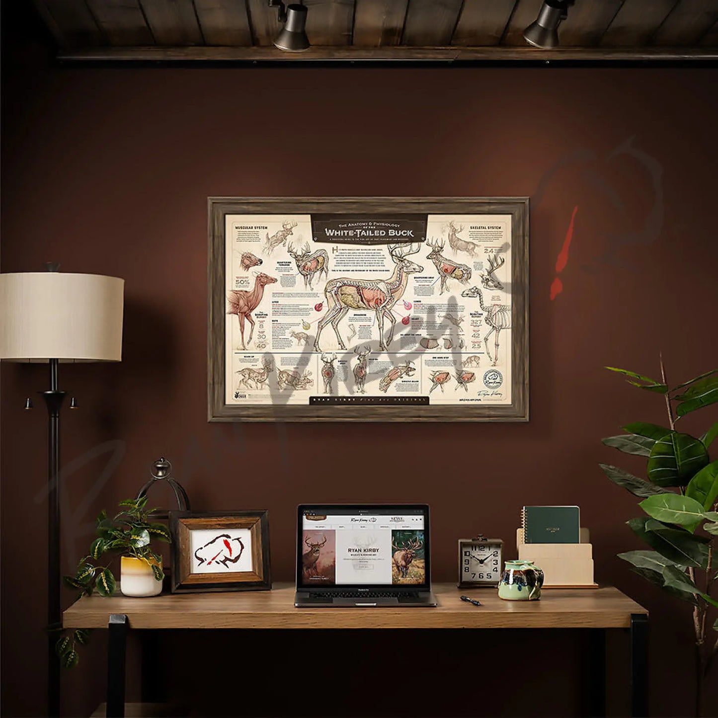 ’The Anatomy & Physiology Of The White-Tailed Buck’ Paper Art Print