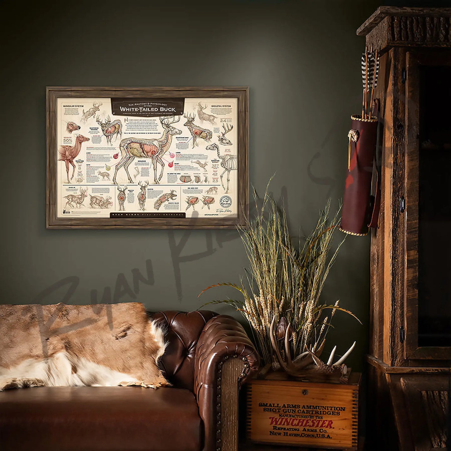’The Anatomy & Physiology Of The White-Tailed Buck’ Paper Art Print