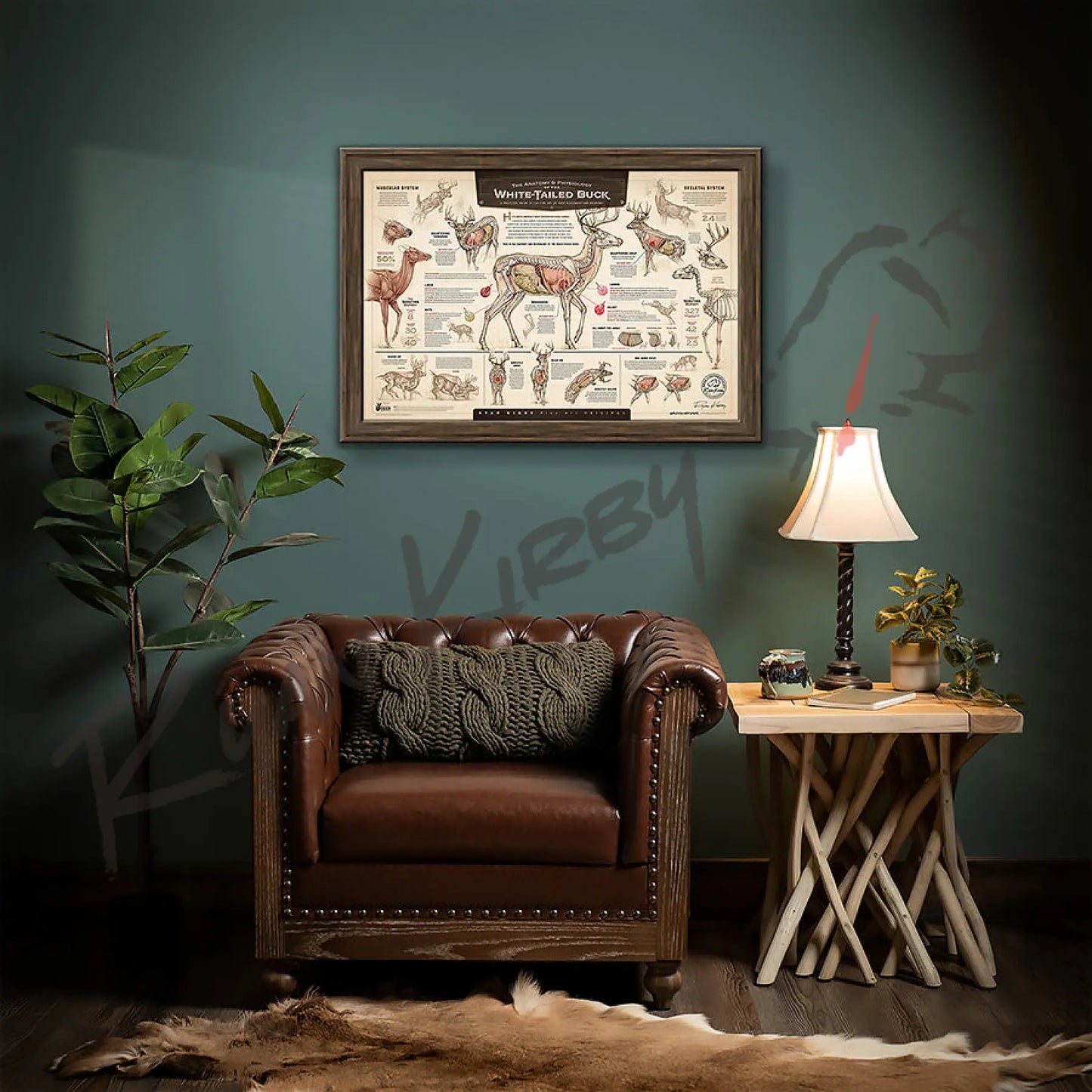 ’The Anatomy & Physiology Of The White-Tailed Buck’ Paper Art Print