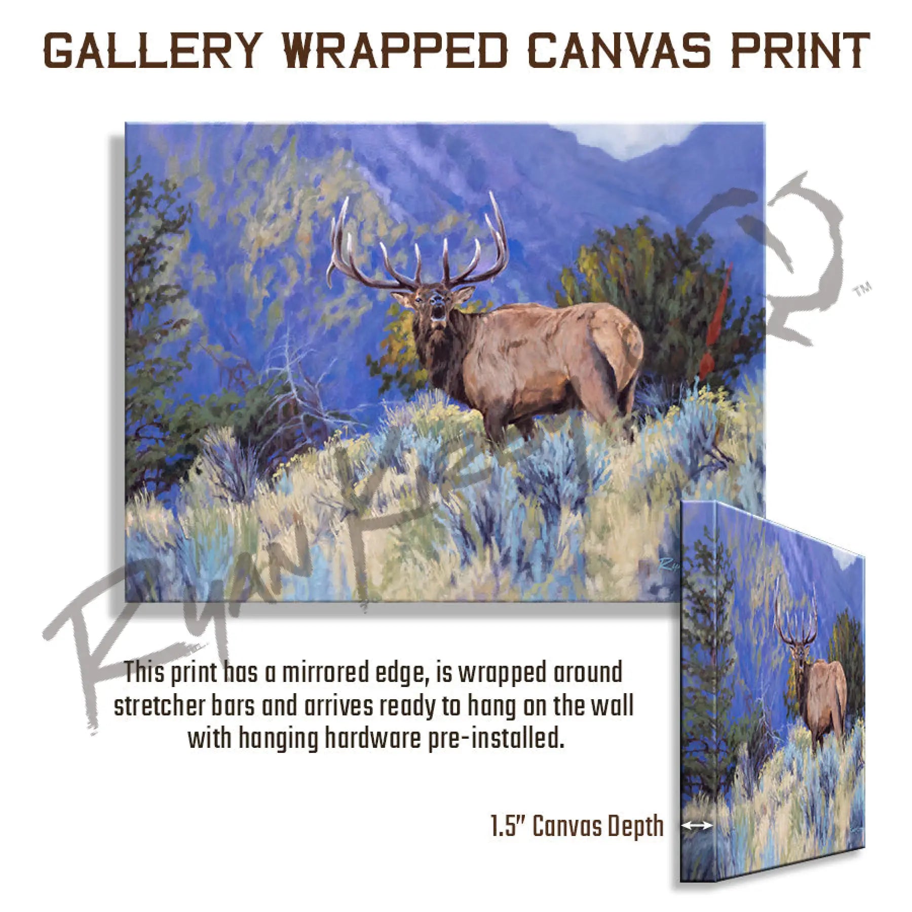 ’The Defender’ Canvas Print Gallery Wrapped