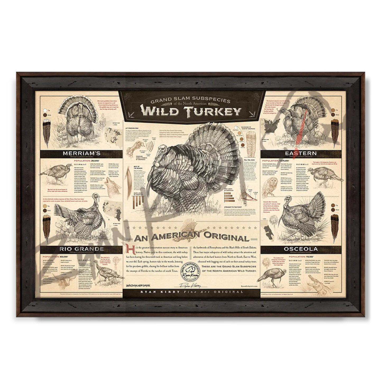 ’The Grand Slam Subspecies Of The North American Wild Turkey’ Paper Art Print Reclaimed Walnut