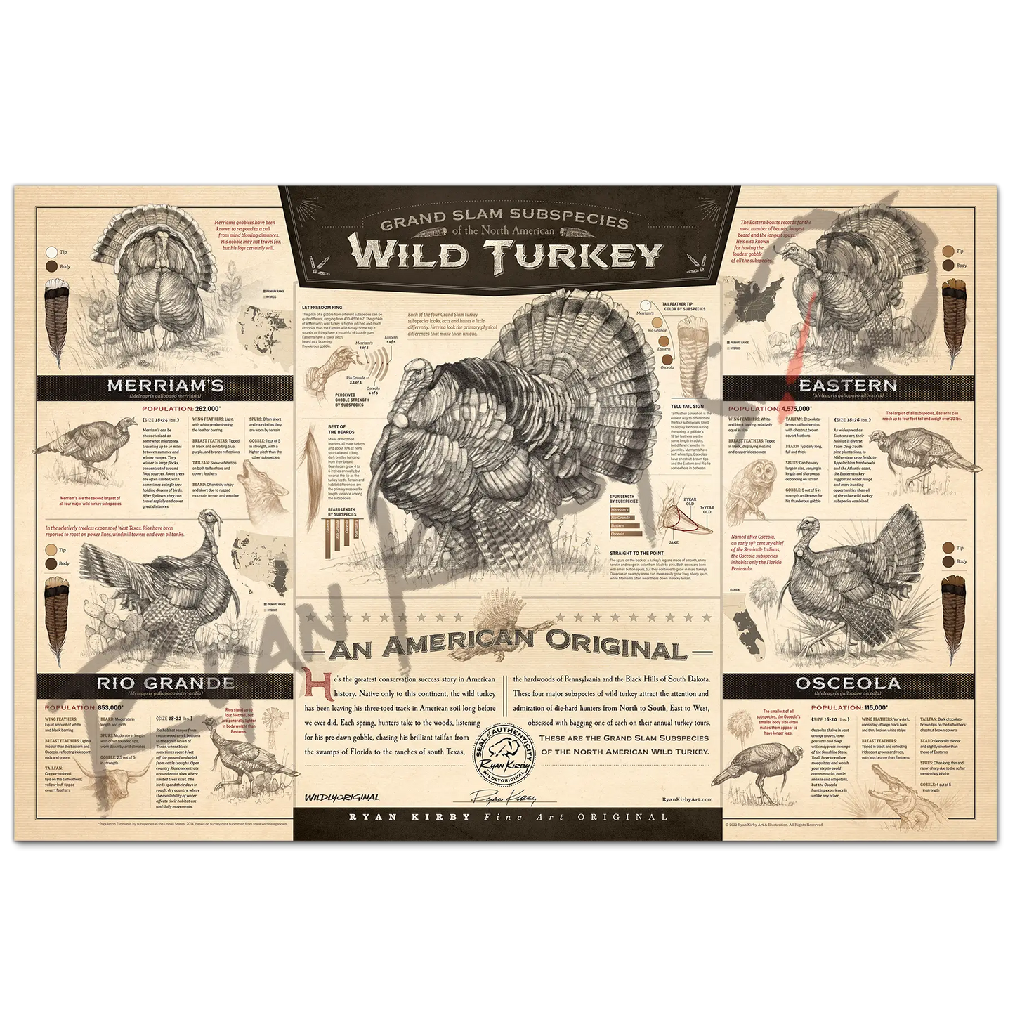 ’The Grand Slam Subspecies Of The North American Wild Turkey’ Paper Art Print Unframed Rolled