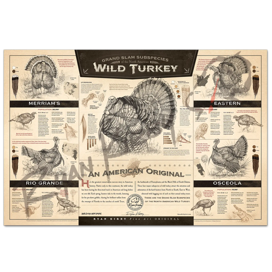 ’The Grand Slam Subspecies Of The North American Wild Turkey’ Paper Art Print Unframed Rolled