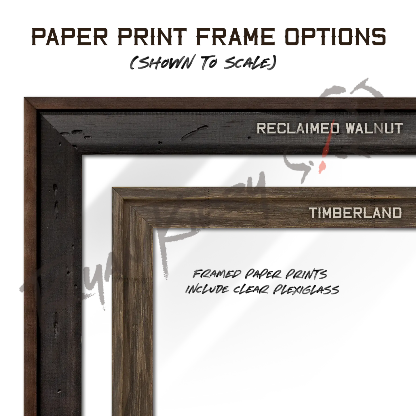 ’The Growth and Maturity of the White-tailed Buck’ Paper Art Print Paper Print