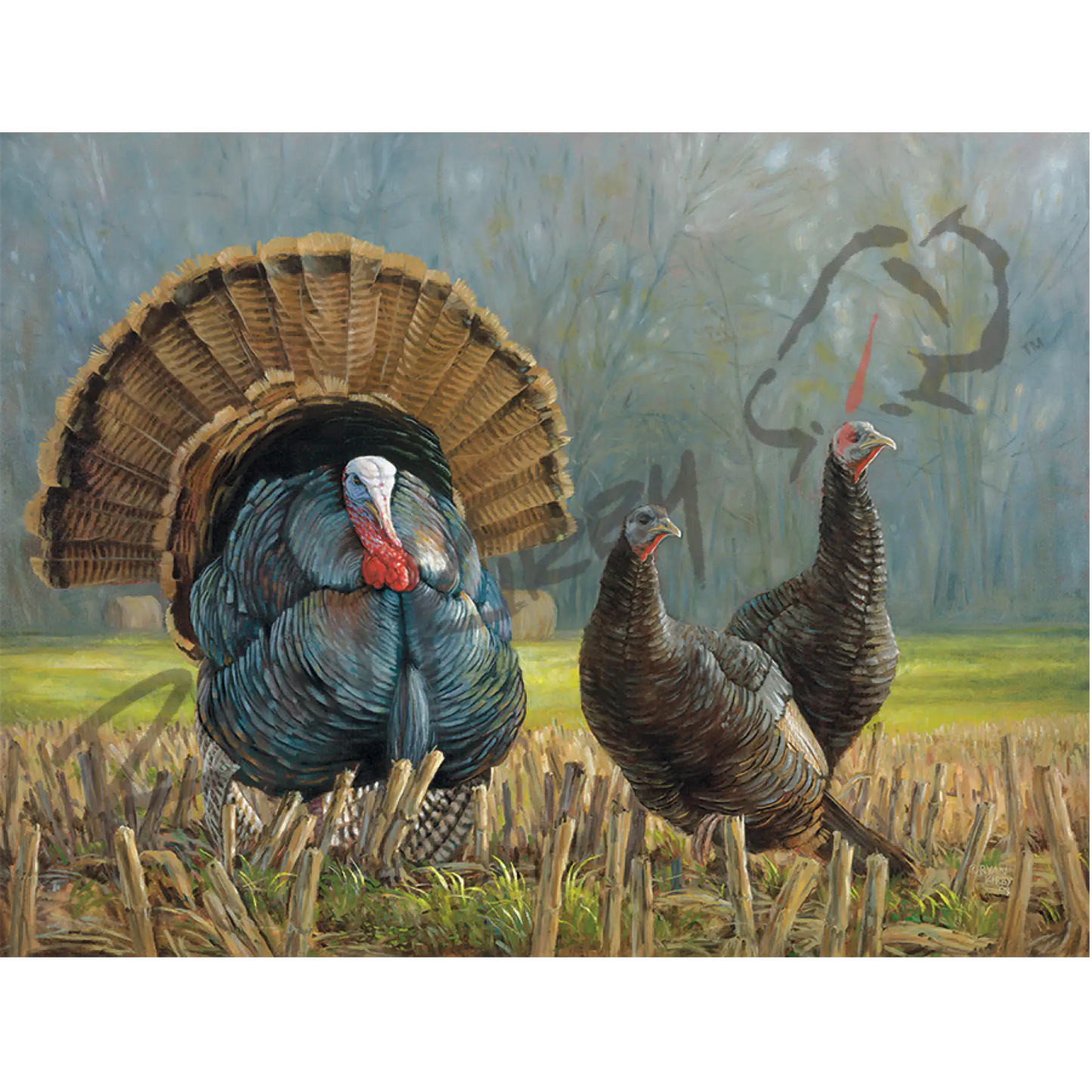 ’Turkey Country’ Original Oil Painting