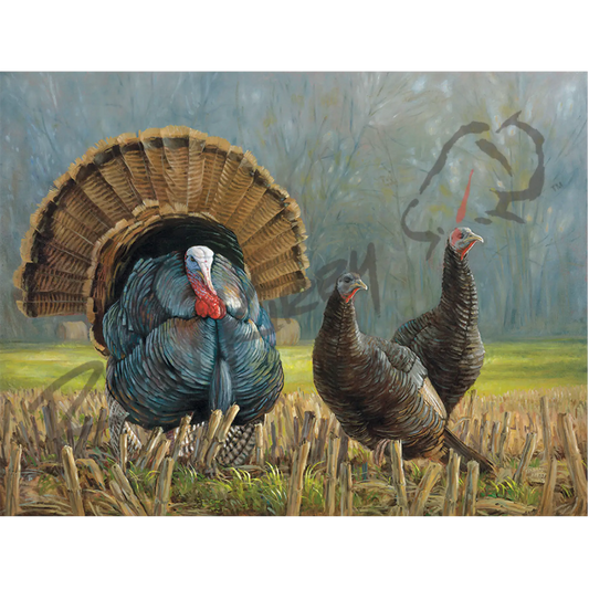 ’Turkey Country’ Original Oil Painting