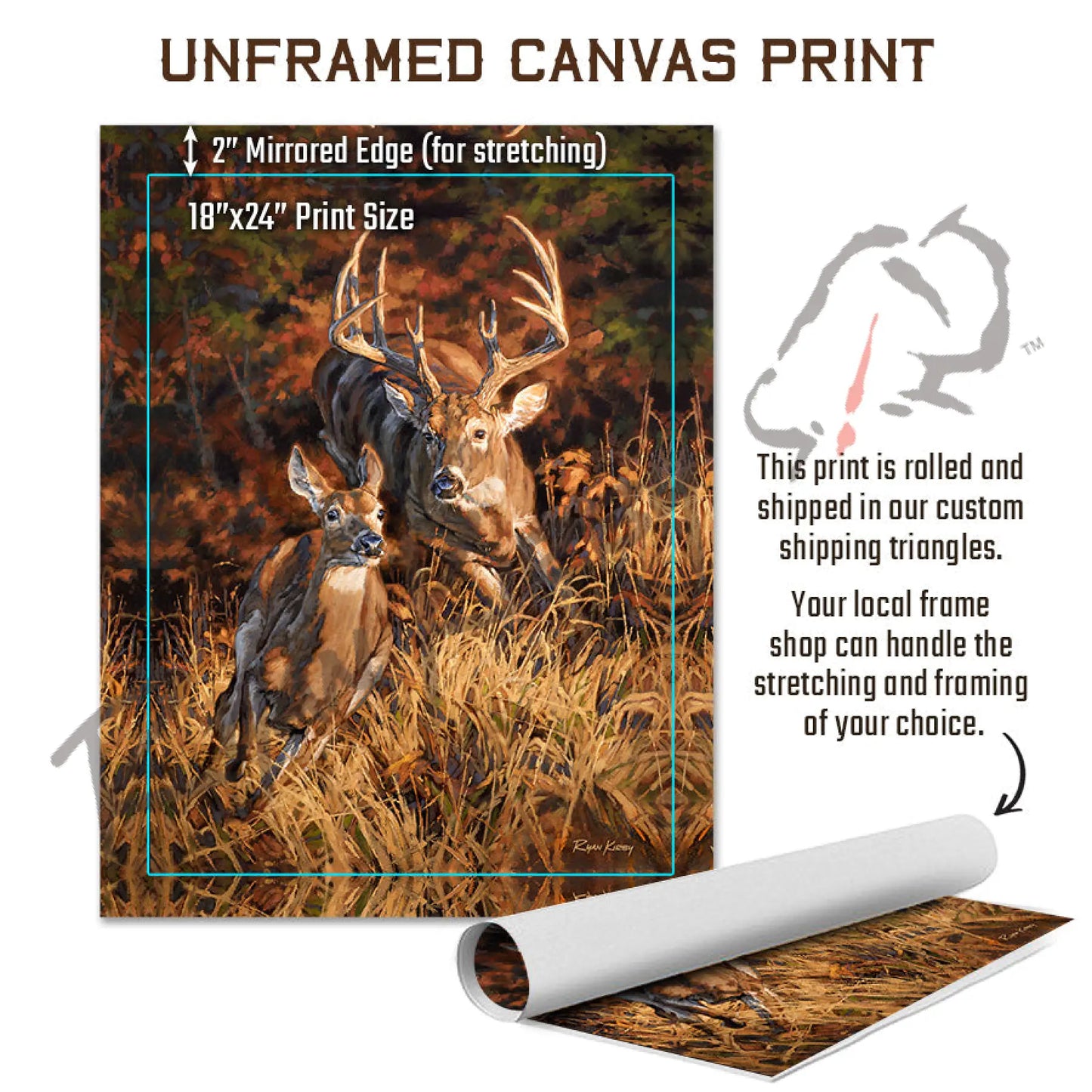 ’Turn And Burn’ White-Tailed Deer Canvas Art Print