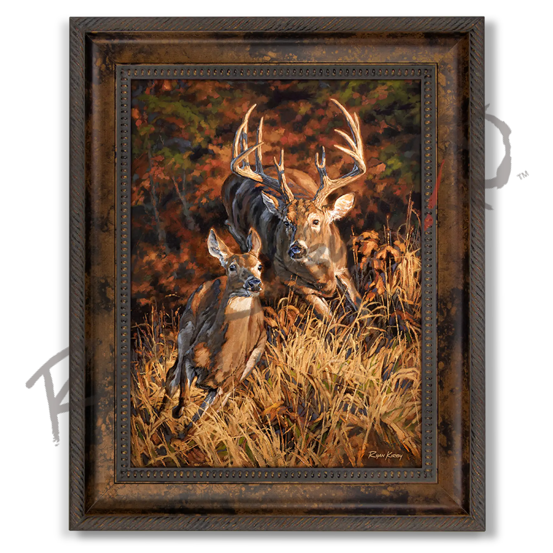 ’Turn And Burn’ White-Tailed Deer Canvas Art Print Classic Bronze