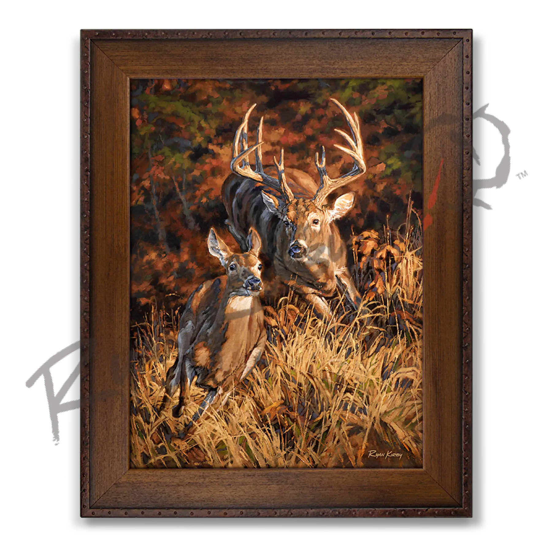 ’Turn And Burn’ White-Tailed Deer Canvas Art Print Copper Barrel
