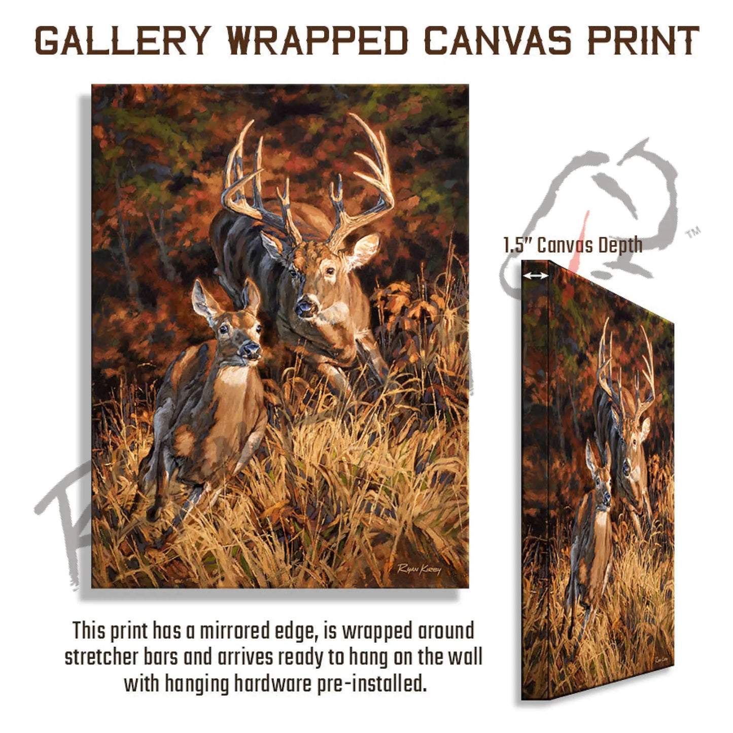 ’Turn And Burn’ White-Tailed Deer Canvas Art Print Gallery Wrapped