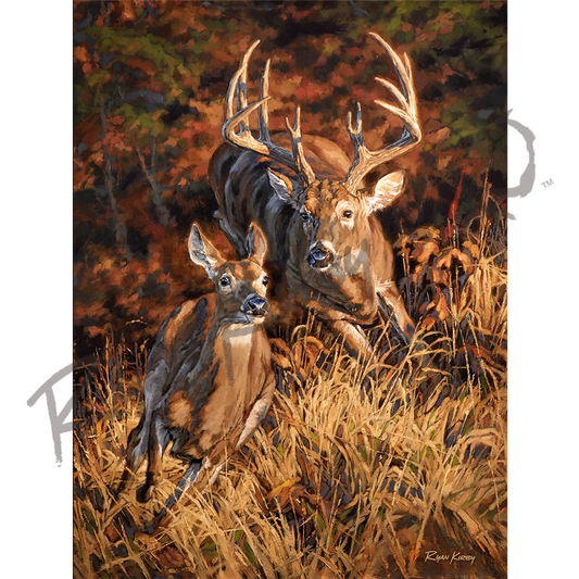 ’Turn And Burn’ White-Tailed Deer Canvas Art Print Unframed Rolled