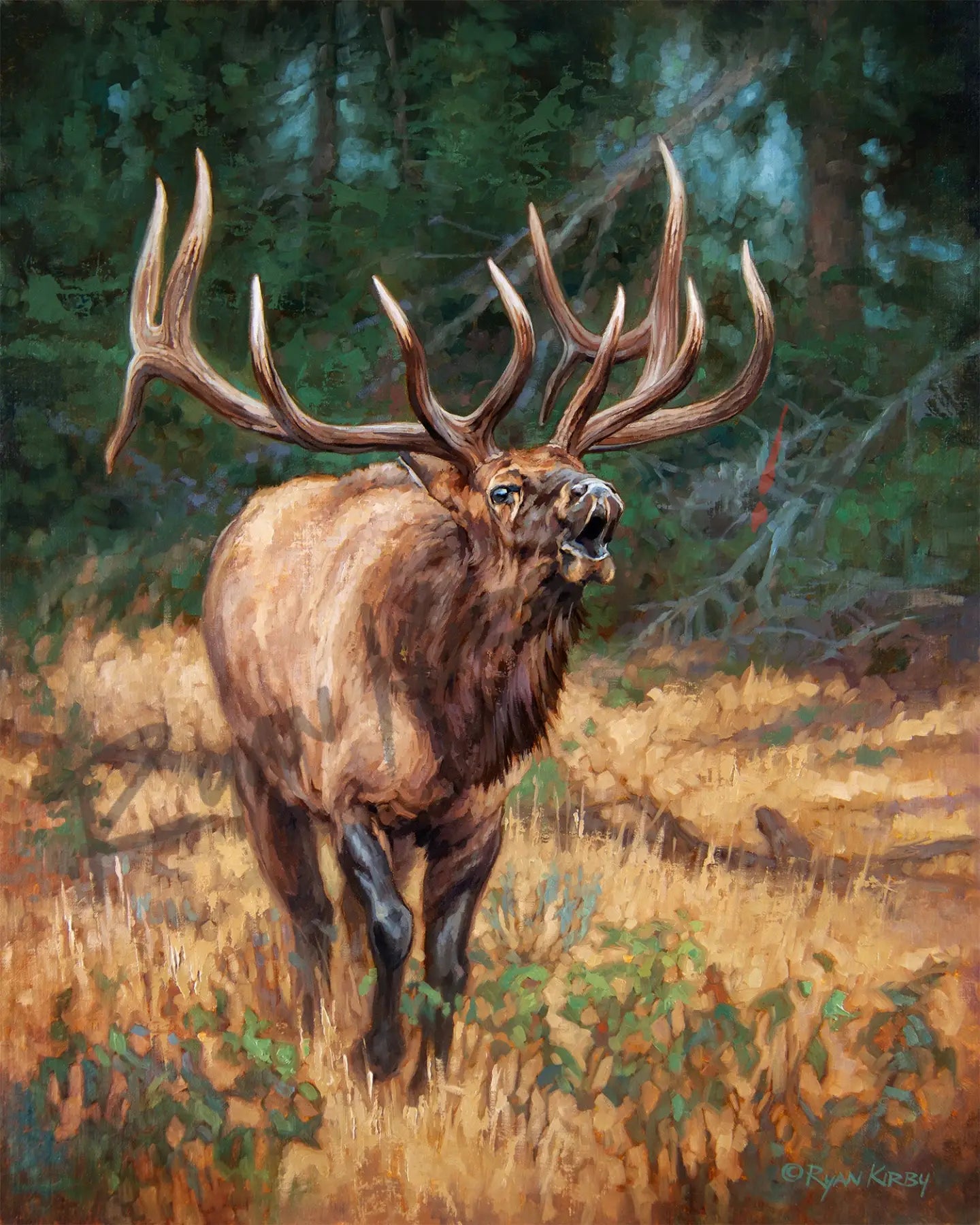 ’Wapiti War Cry’ Original Oil Painting