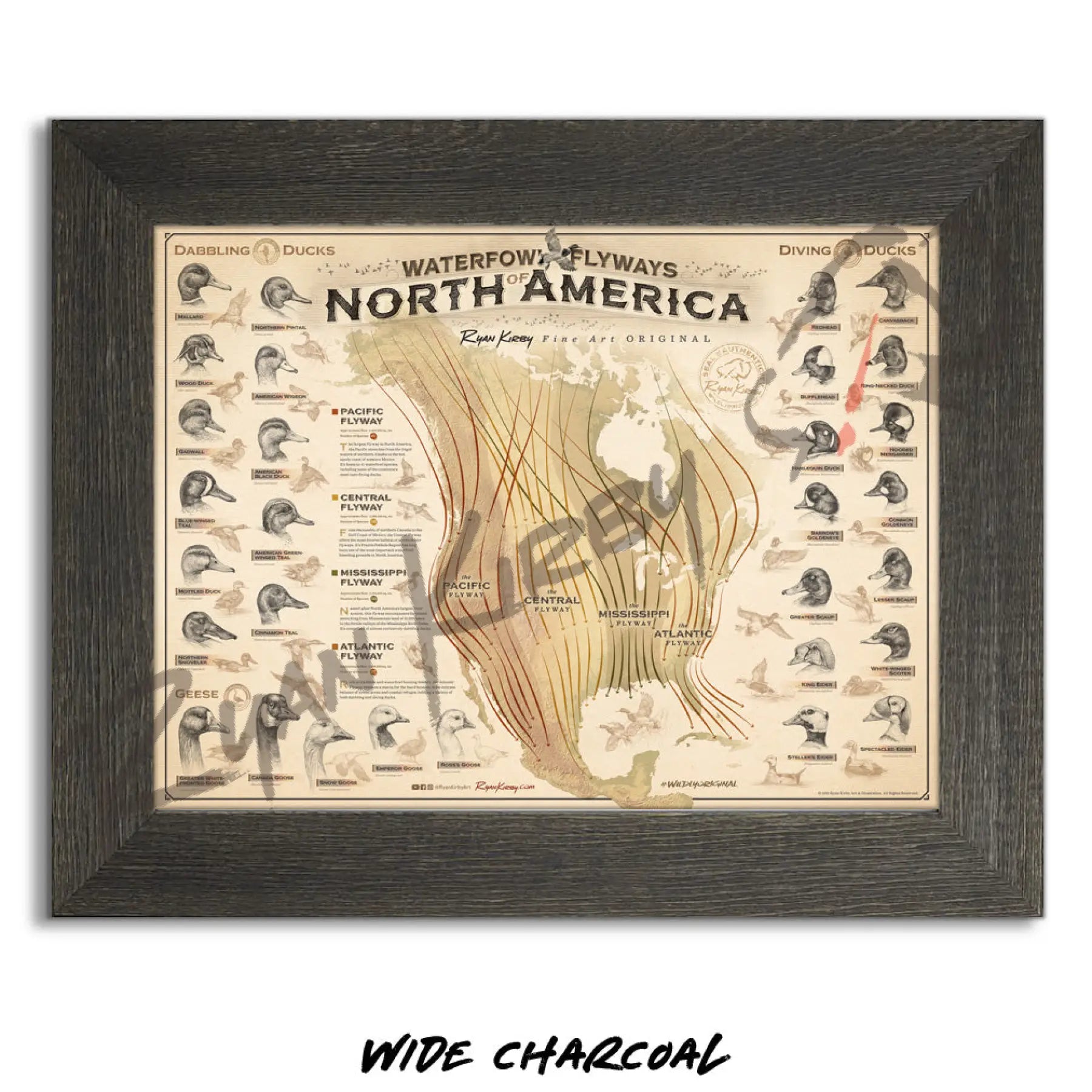 ’Waterfowl Flyways of North America’ Poster Poster