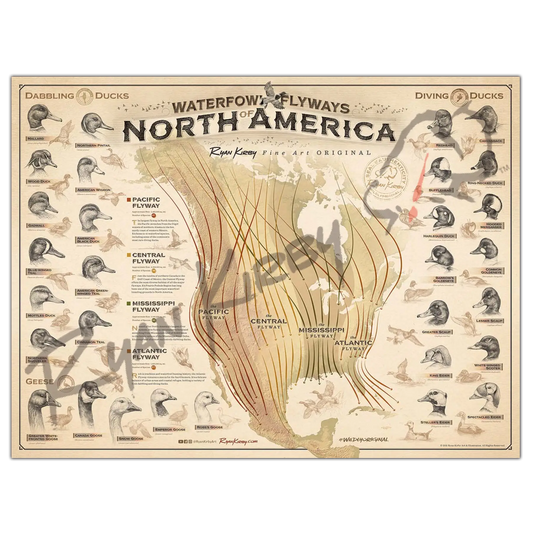 ’Waterfowl Flyways Of North America’ Poster