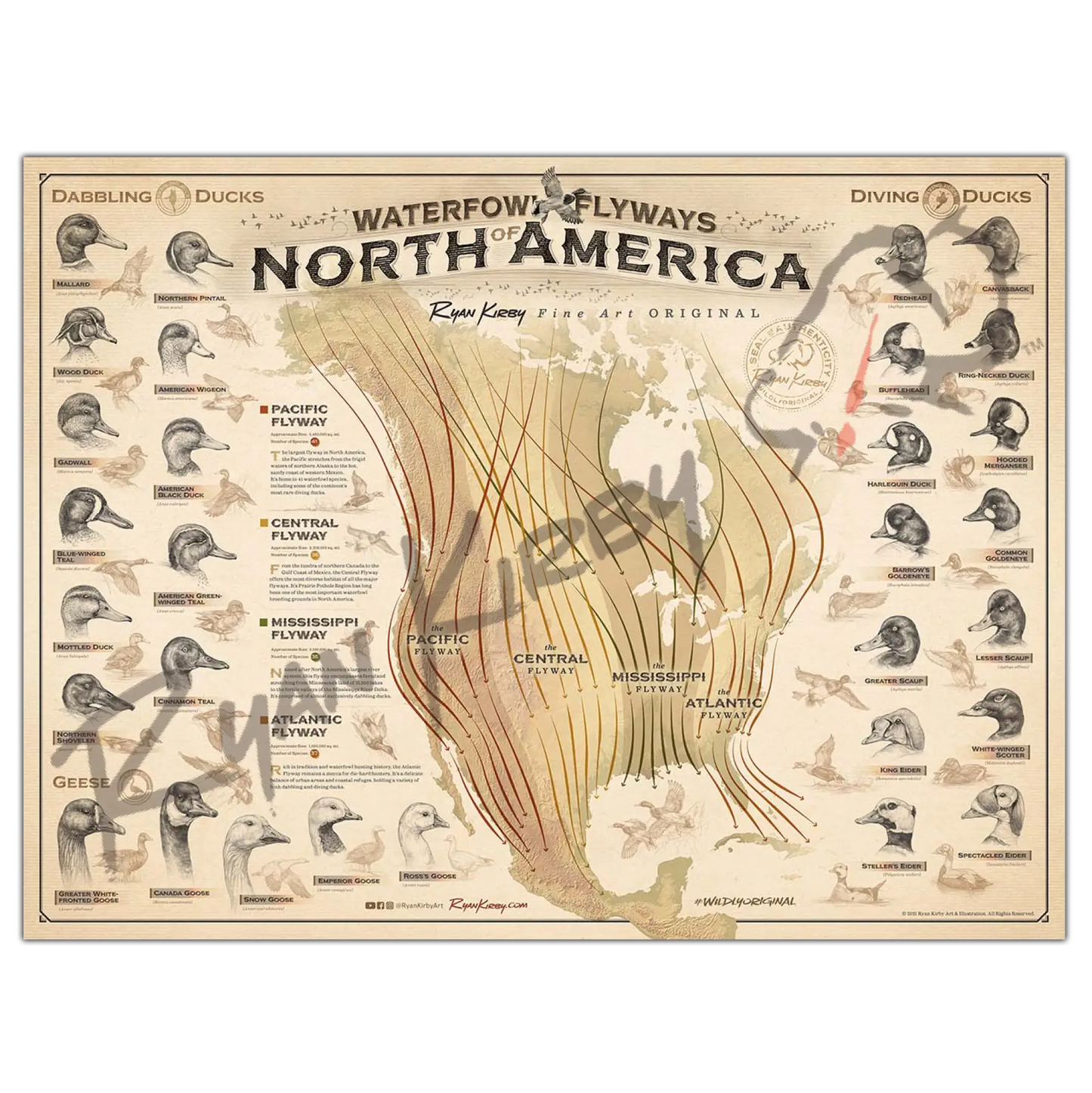 ’Waterfowl Flyways Of North America’ Poster Unframed
