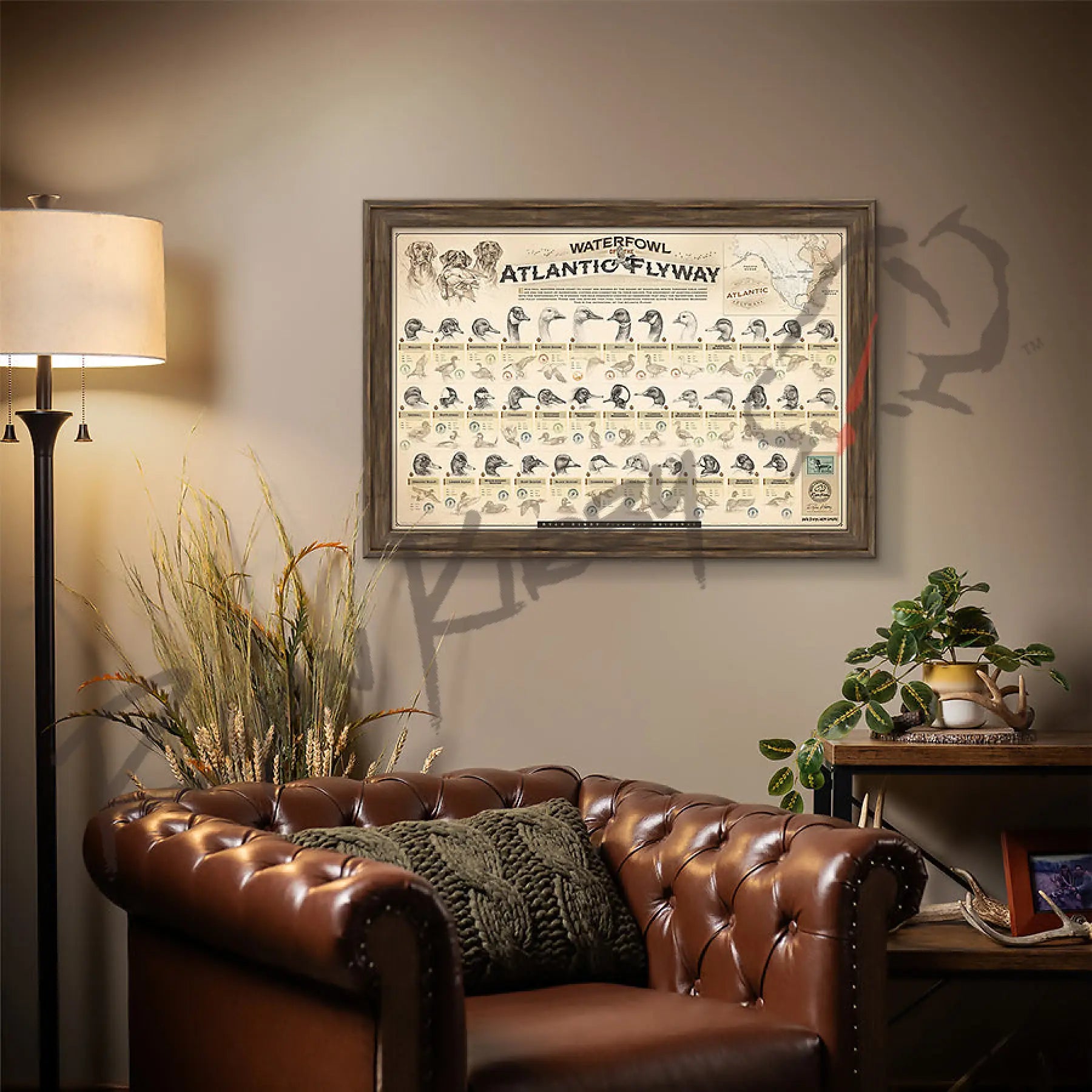 ’Waterfowl Of The Atlantic Flyway’ Paper Art Print