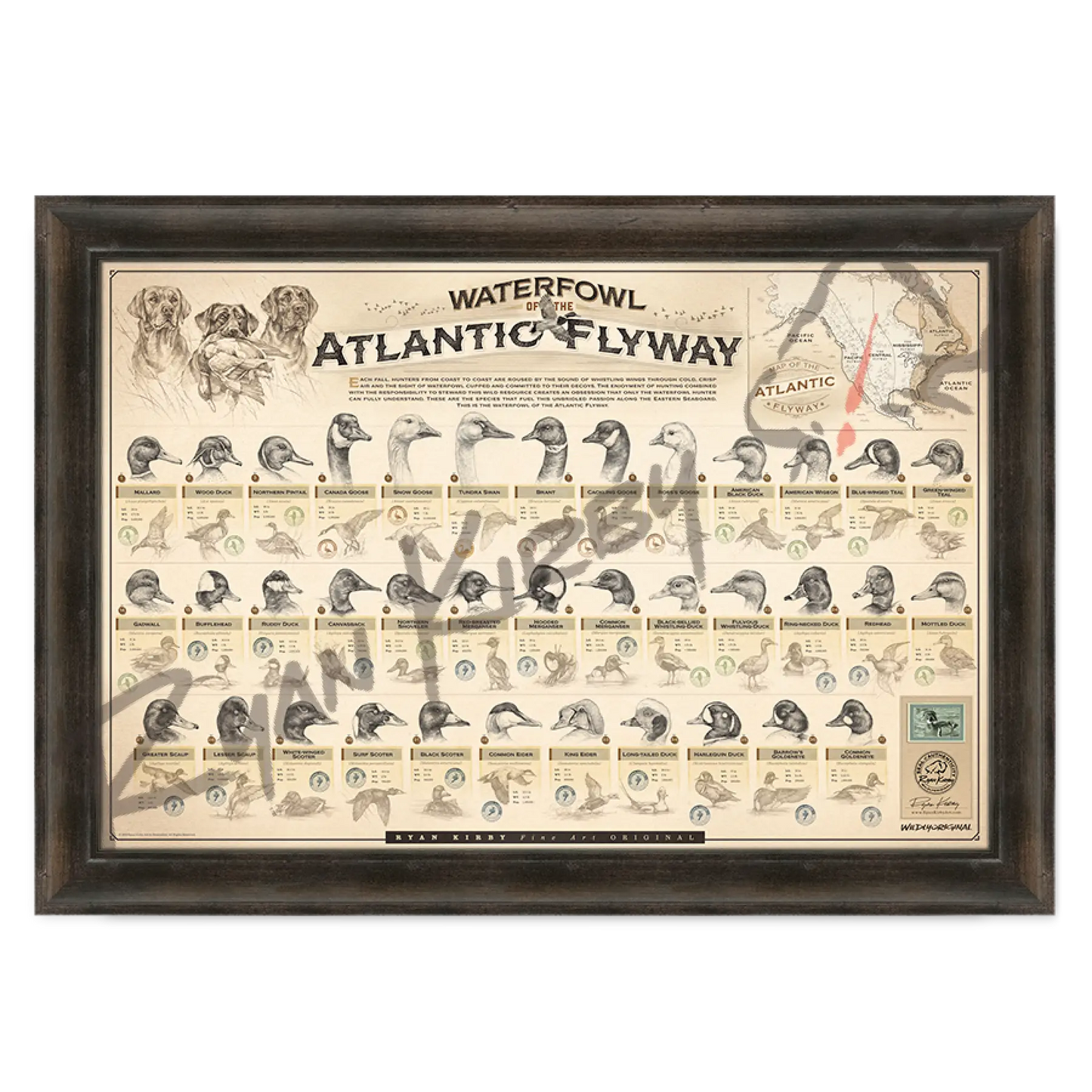 ’Waterfowl Of The Atlantic Flyway’ Paper Art Print Espresso Walnut
