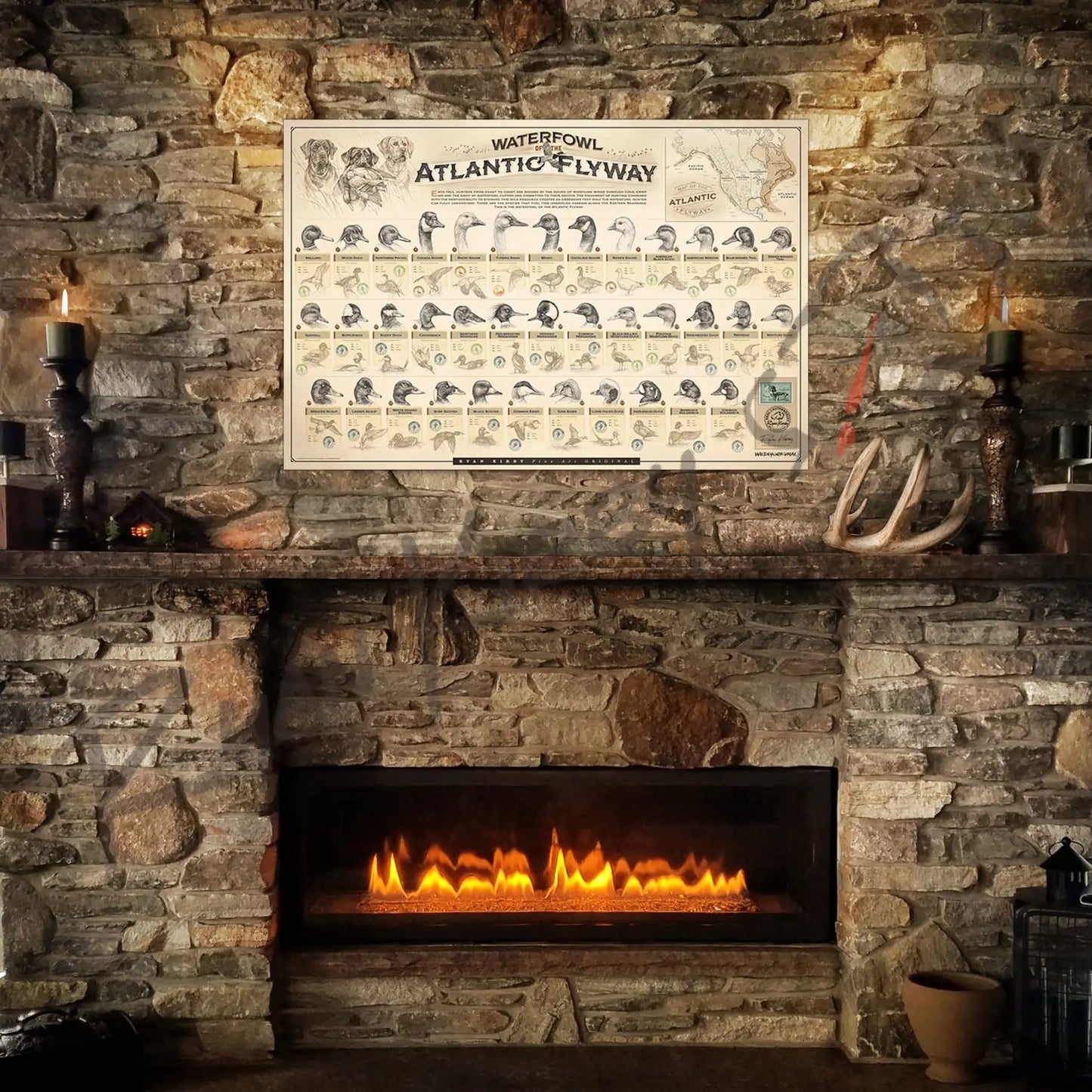 ’Waterfowl Of The Atlantic Flyway’ Unframed Paper Print