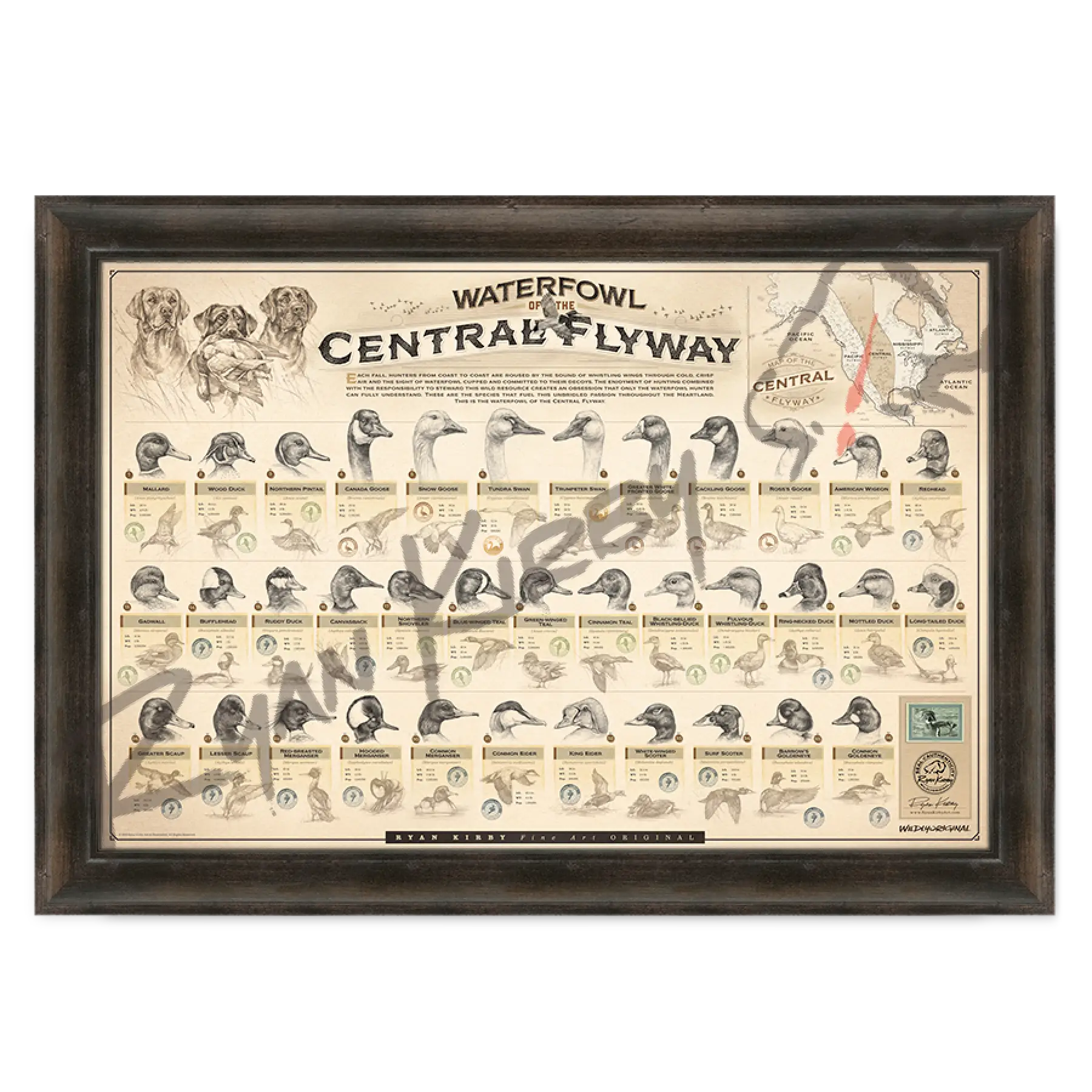 ’Waterfowl Of The Central Flyway’ Paper Art Print Espresso Walnut Frame