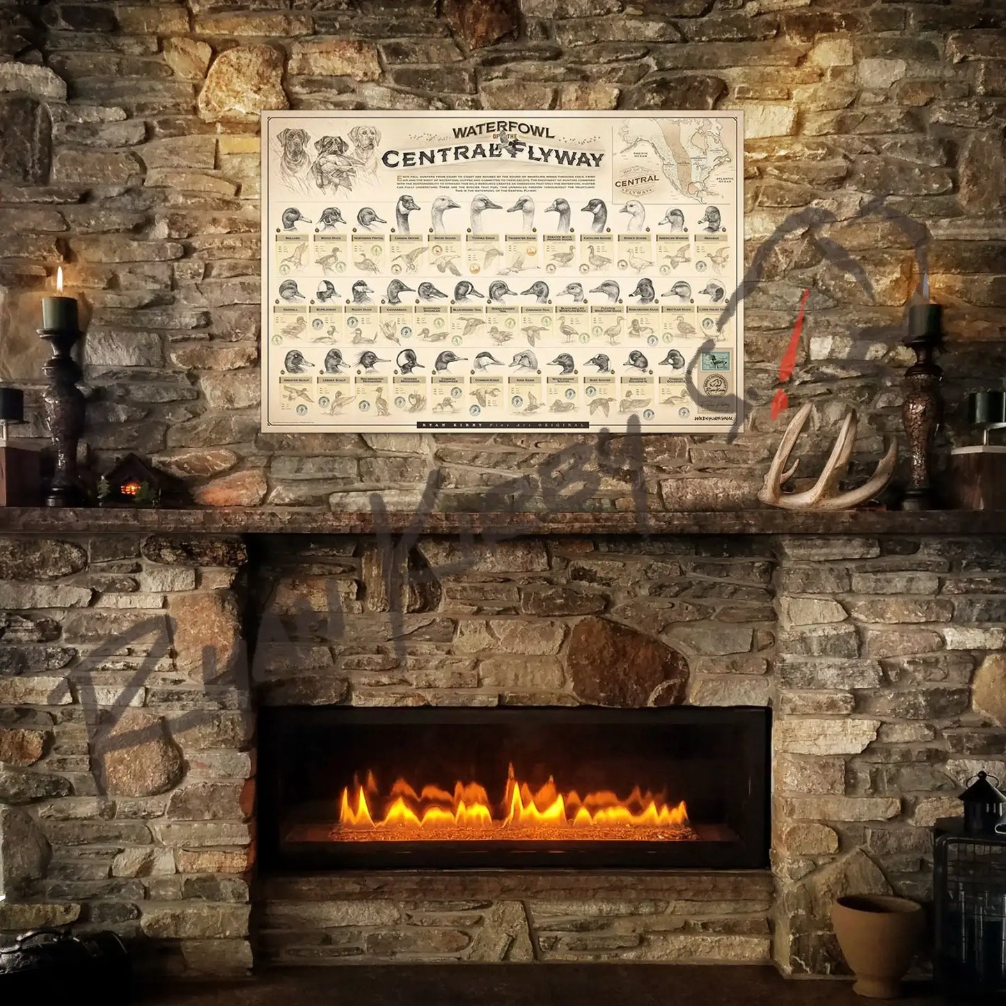 Stamp-N-Bent ’Waterfowl Of The Central Flyway’ Paper Print