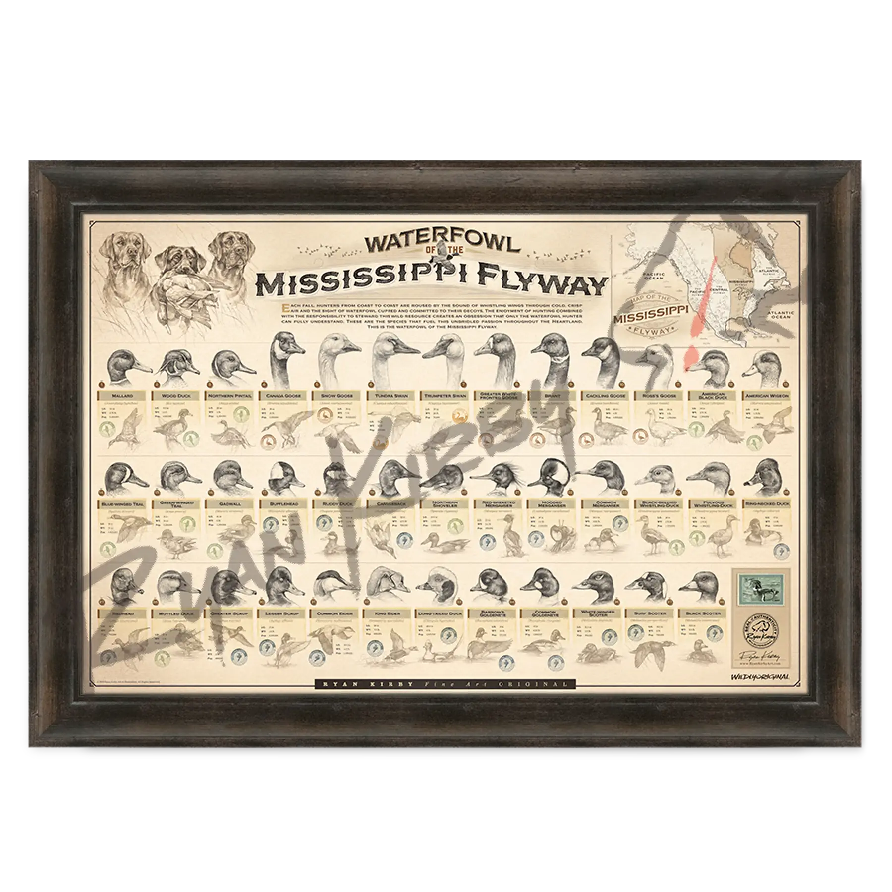 ’Waterfowl Of The Mississippi Flyway’ Paper Art Print Espresso Walnut Frame
