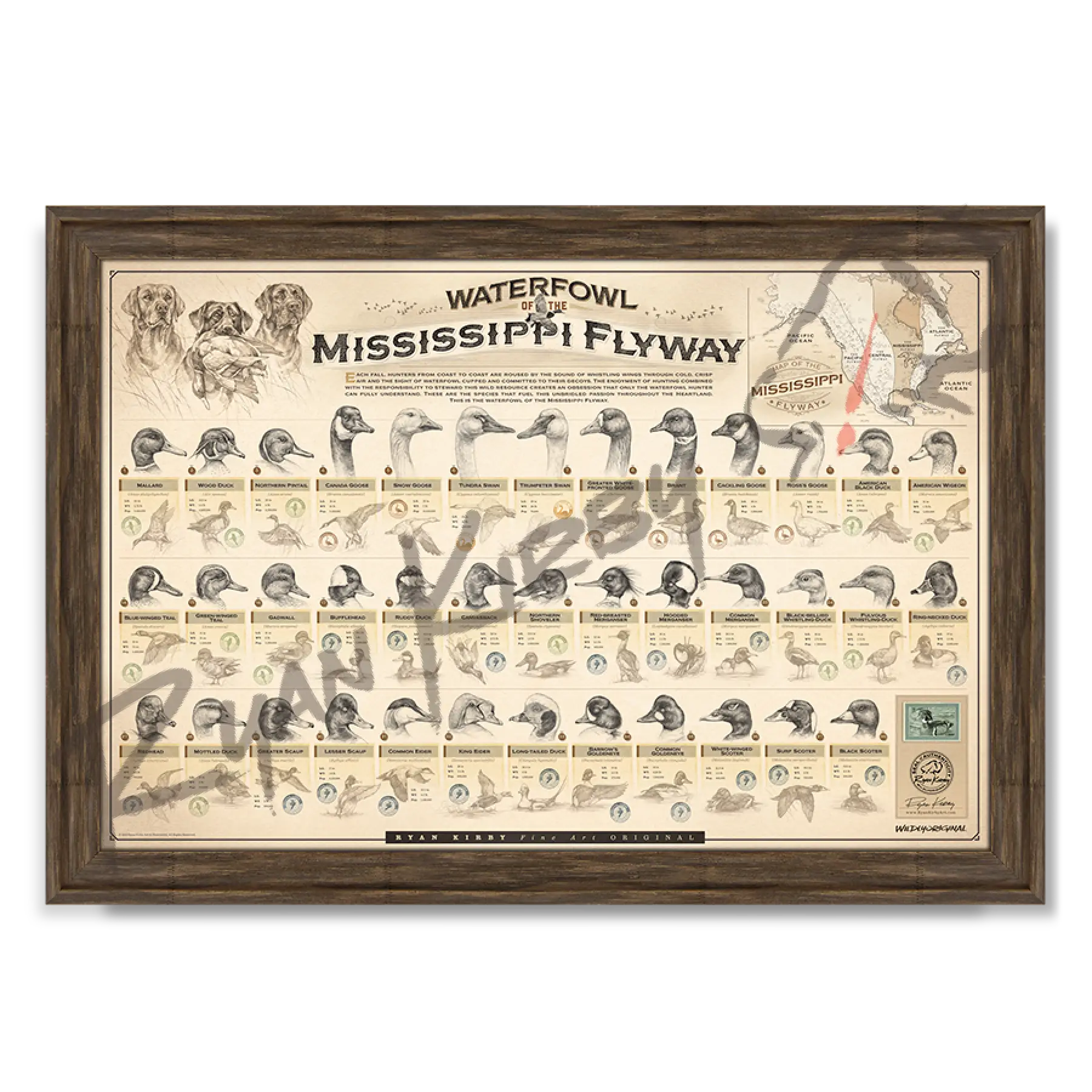 ’Waterfowl Of The Mississippi Flyway’ Paper Art Print Timberland Frame
