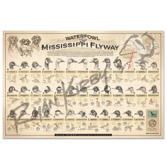 ’Waterfowl Of The Mississippi Flyway’ Paper Art Print Unframed Rolled
