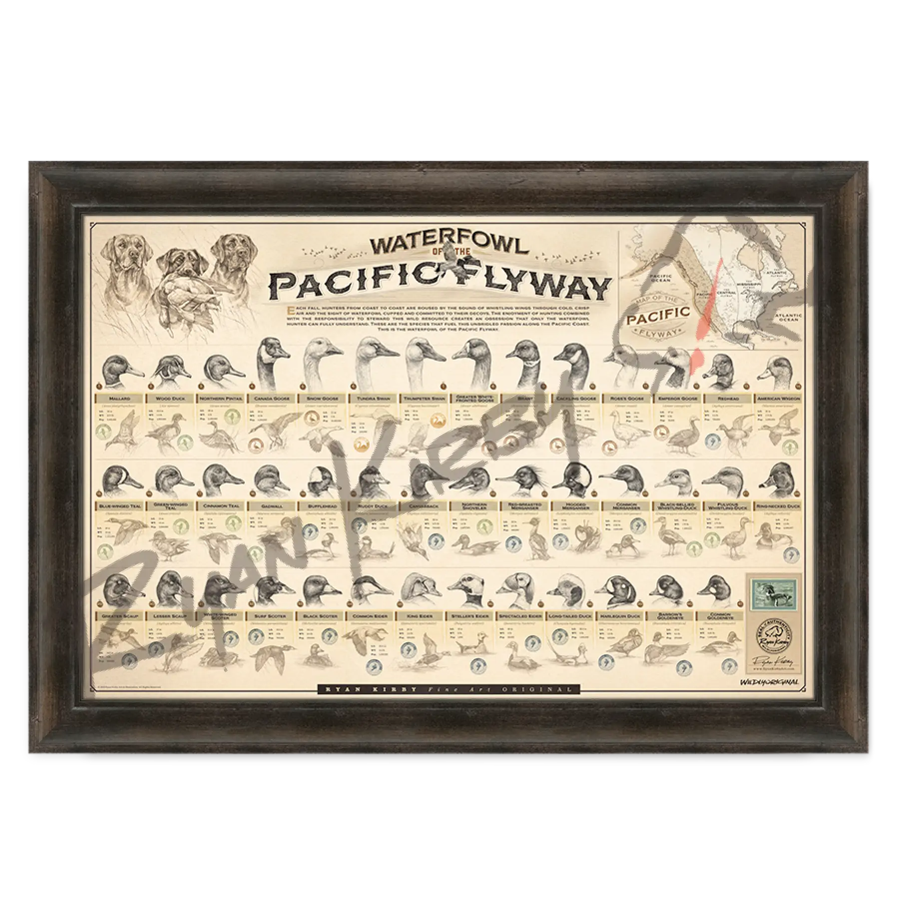 ’Waterfowl Of The Pacific Flyway’ Paper Art Print Espresso Walnut