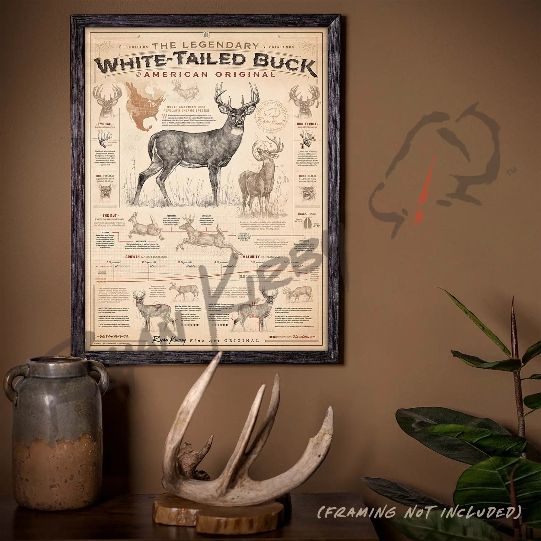 ’White-Tailed Buck: An American Original’ Poster
