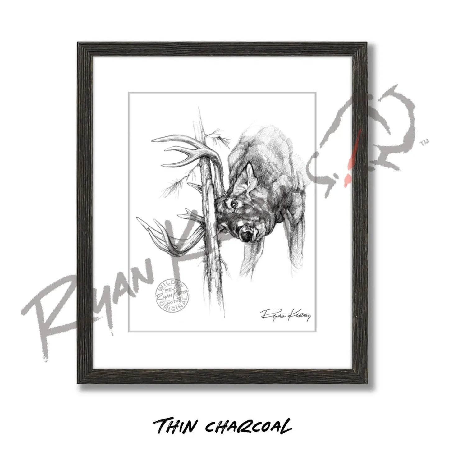 White-tailed Buck Rub Sketch Print Sketch Paper Print