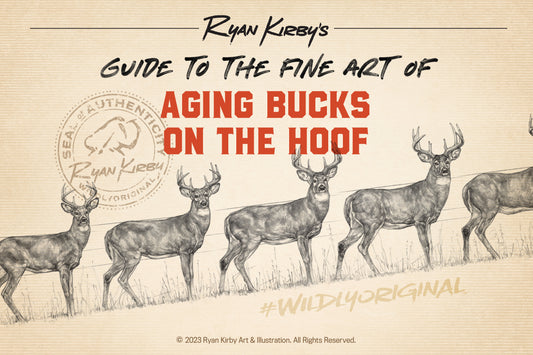 An Artist's Guide to Aging White-tailed Bucks on the Hoof