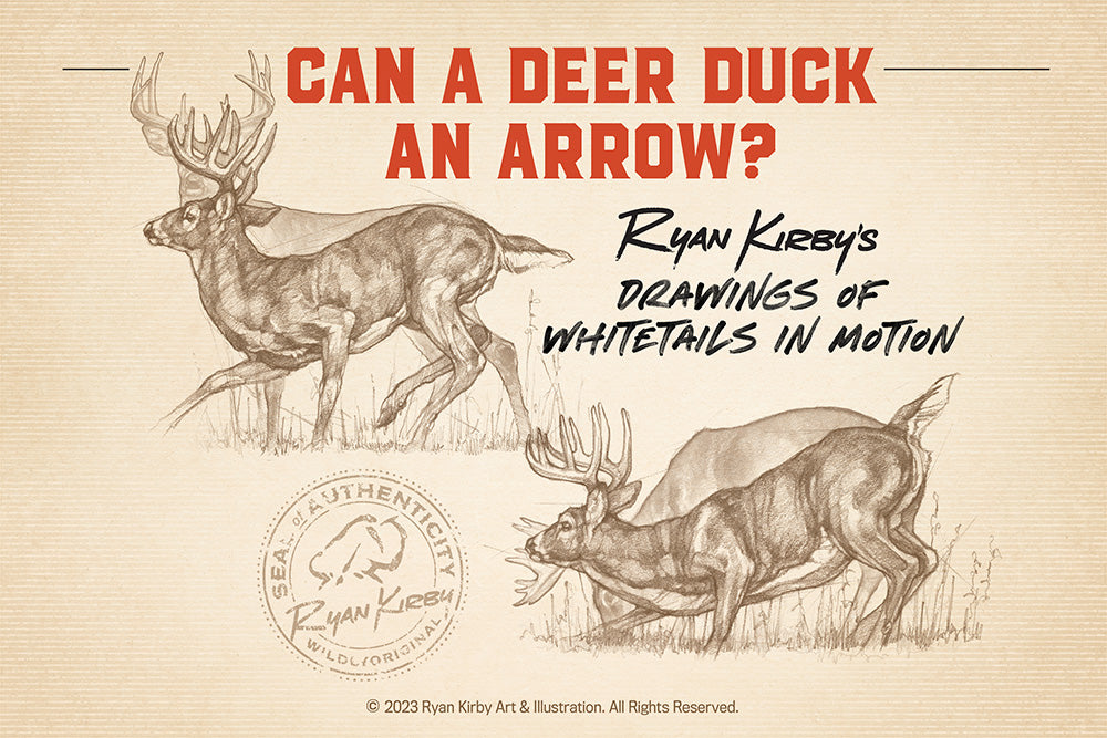 Can Deer Duck an Arrow? An Artist's Diagram of Moving White-tailed Bucks
