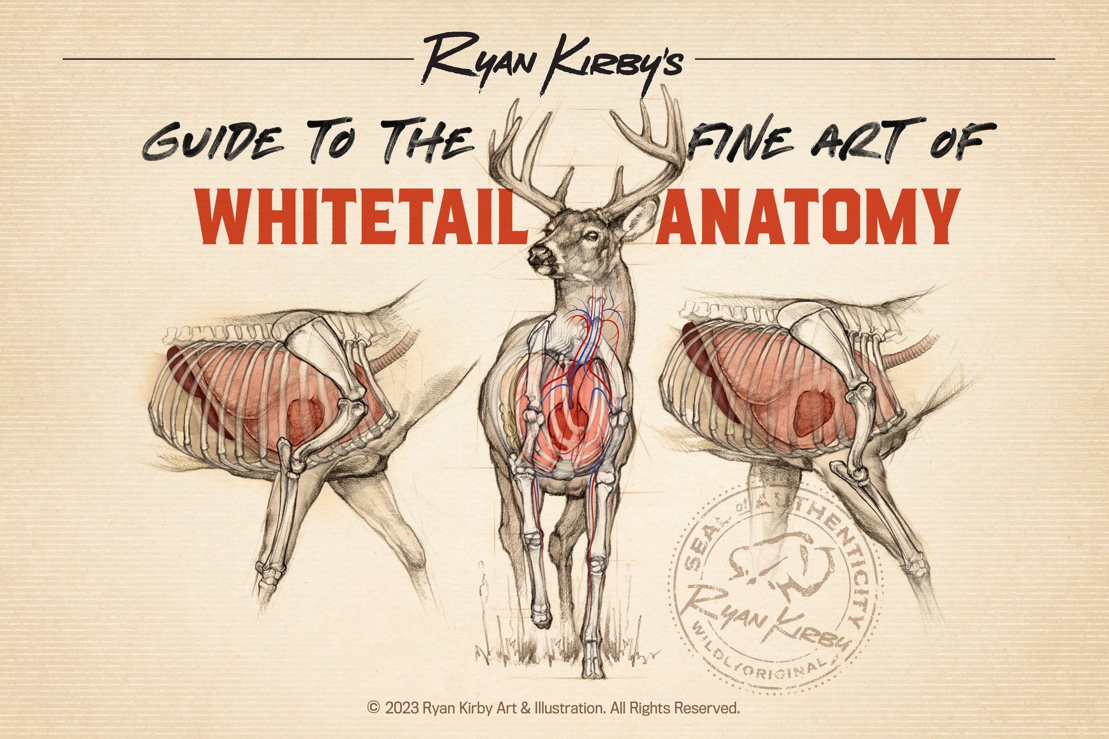 An Artist's Guide to Anatomy Ryan Kirby Wildlife and Hunting Art