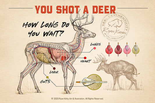 The Waiting Game: What to Do After You Shoot a Deer With A Bow and Arrow