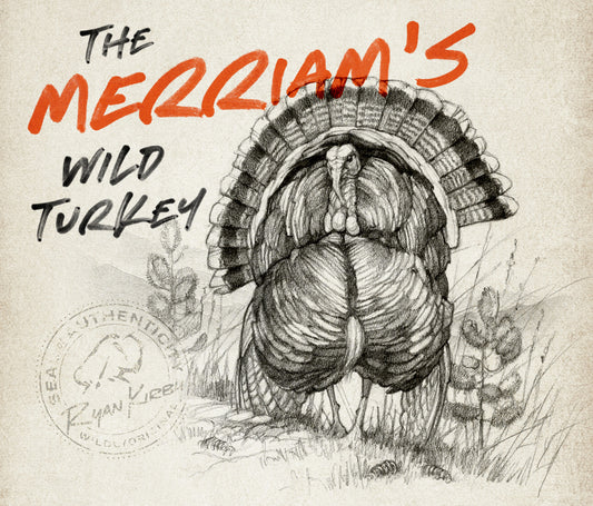 King of the Mountain: The Merriam’s Wild Turkey