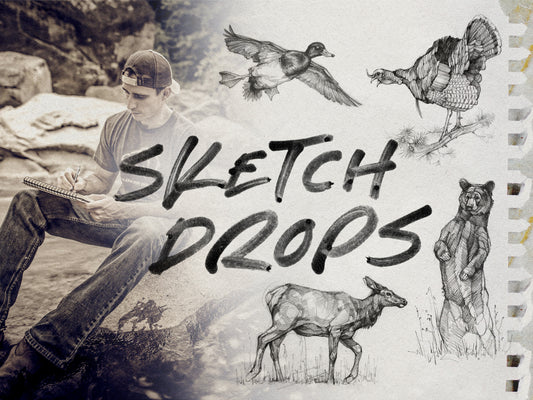 How Daily Sketches Saved My Creative Career