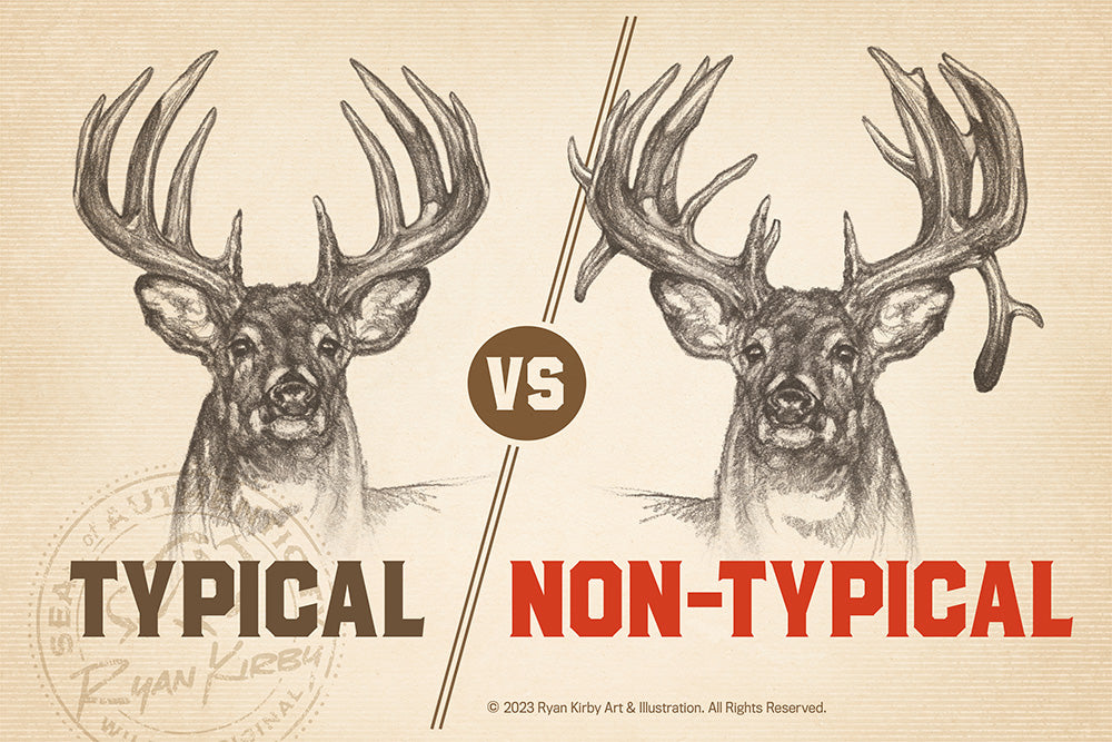 Typical vs Non-Typical Antlers | Ryan Kirby Wildlife and Hunting Art