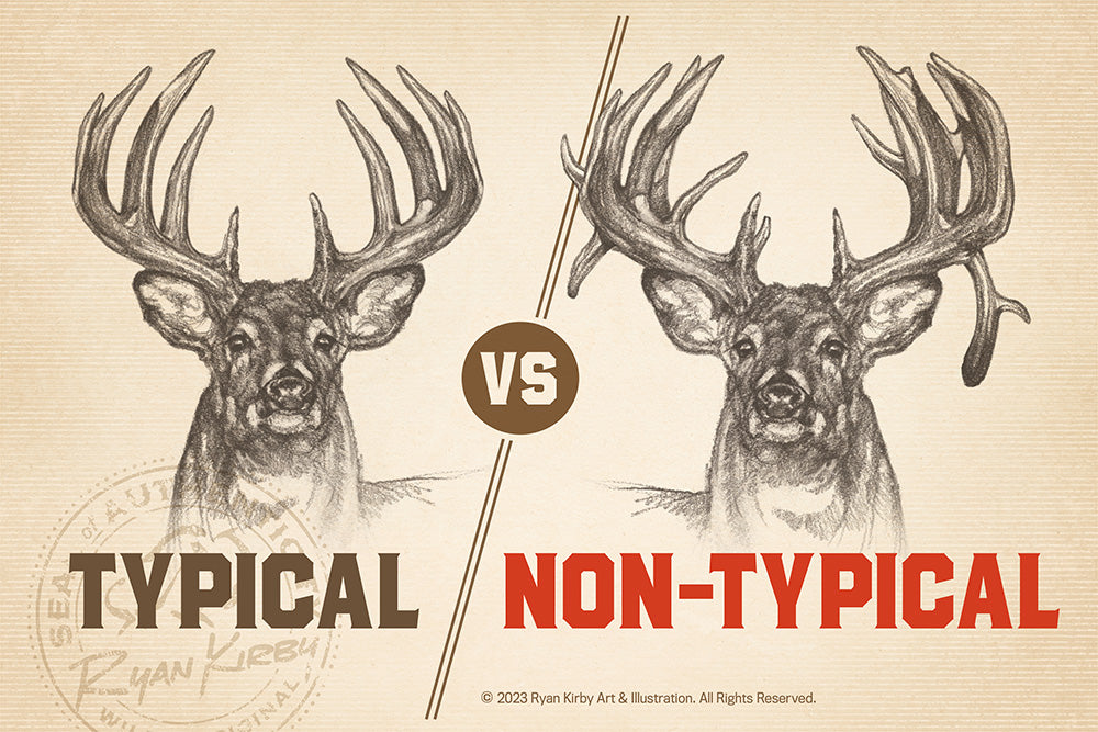 Typical vs Non-Typical Antlers