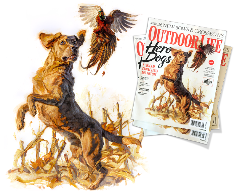 Heroes, Dogs... and Hero Dogs. From Canvas to Cover for the August, 2017 Cover of Outdoor Life