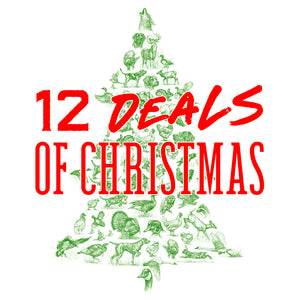 12 Deals of Christmas