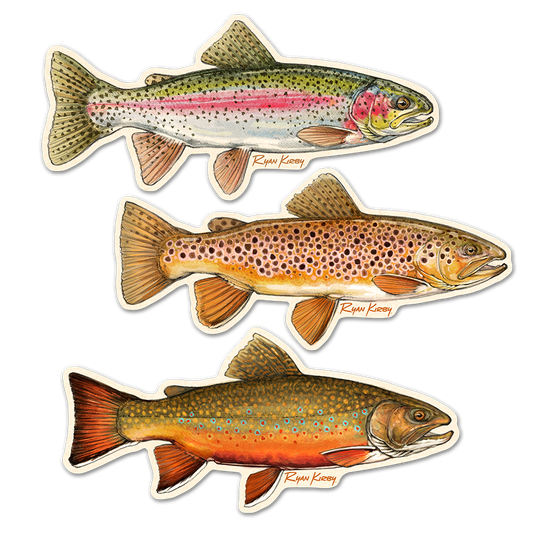Appalachian Trout Decal 3-Pack – Brown, Brook & Rainbow Trout