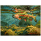 ’A Brush With the Surface’ Rainbow Trout Original Oil Painting - Original Oil Painting