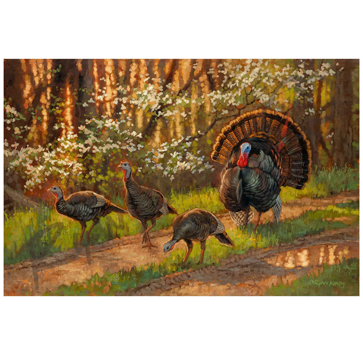 ’Dogwood Turkeys’ Original Oil Painting of Wild Turkeys - Original Oil Painting